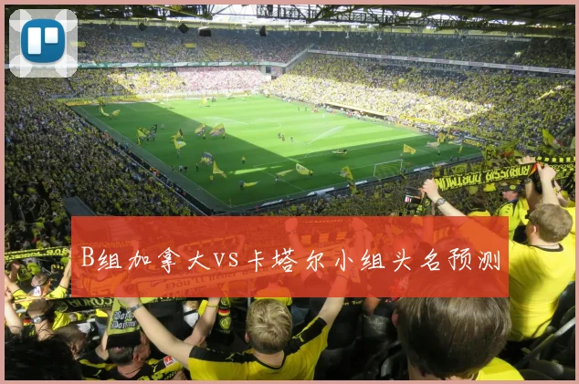 B组加拿大vs卡塔尔小组头名预测