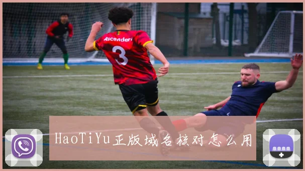 HaoTiYu正版域名核对怎么用