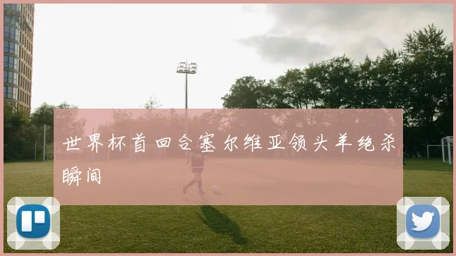 世界杯首回合塞尔维亚领头羊绝杀瞬间